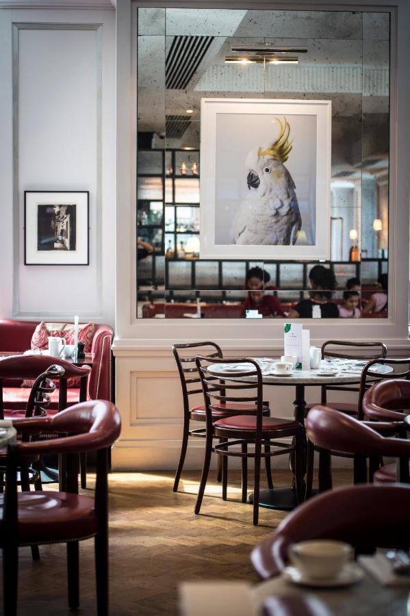 فندق ذا ماريليبون لندن المظهر الخارجي الصورة Interior of the restaurant